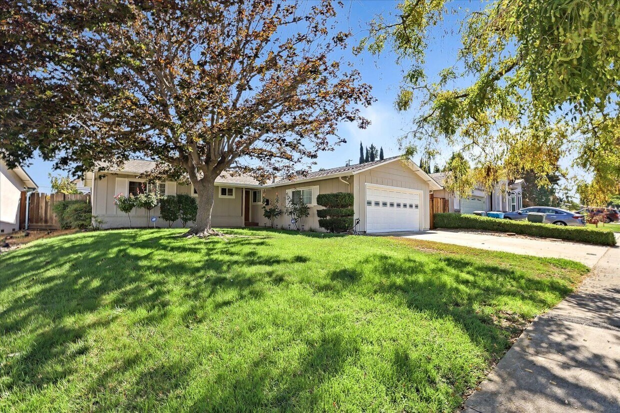 Primary Photo - 4 br, 2 bath House - 902 Cottonwood Drive