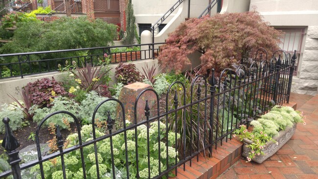 Foto del edificio - 1316 Kenyon St NW