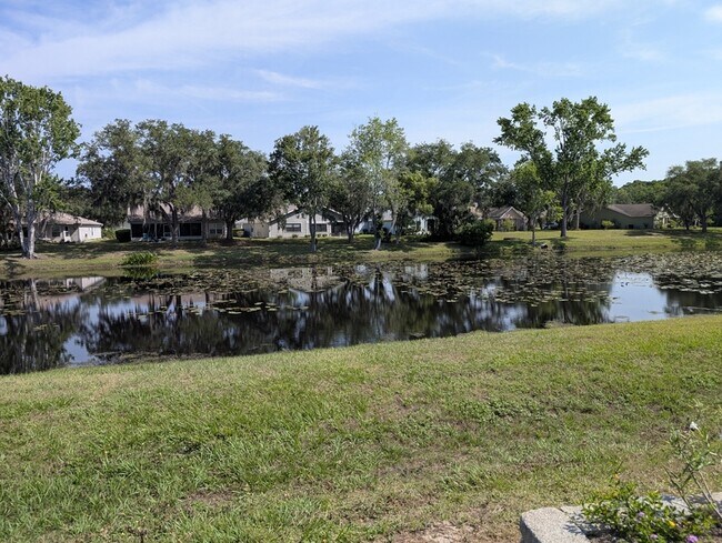 Building Photo - 9815 E Pebble Creek Ct