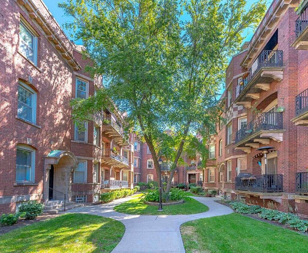 5313 S Harper Ave Unit 2, Chicago, IL 60615 Condo for Rent in Chicago