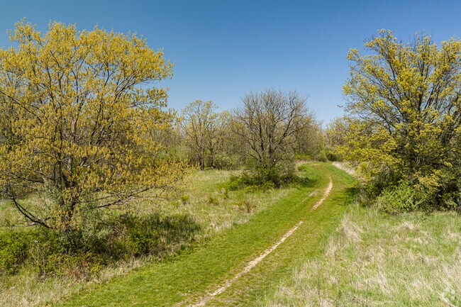 Miles of walking paths are just east of Sauk Village’s residential streets in the Plum Creek Meadow forest preserve.