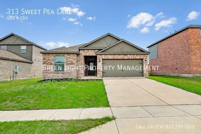 Foto del edificio - 313 Sweet Pea Ln