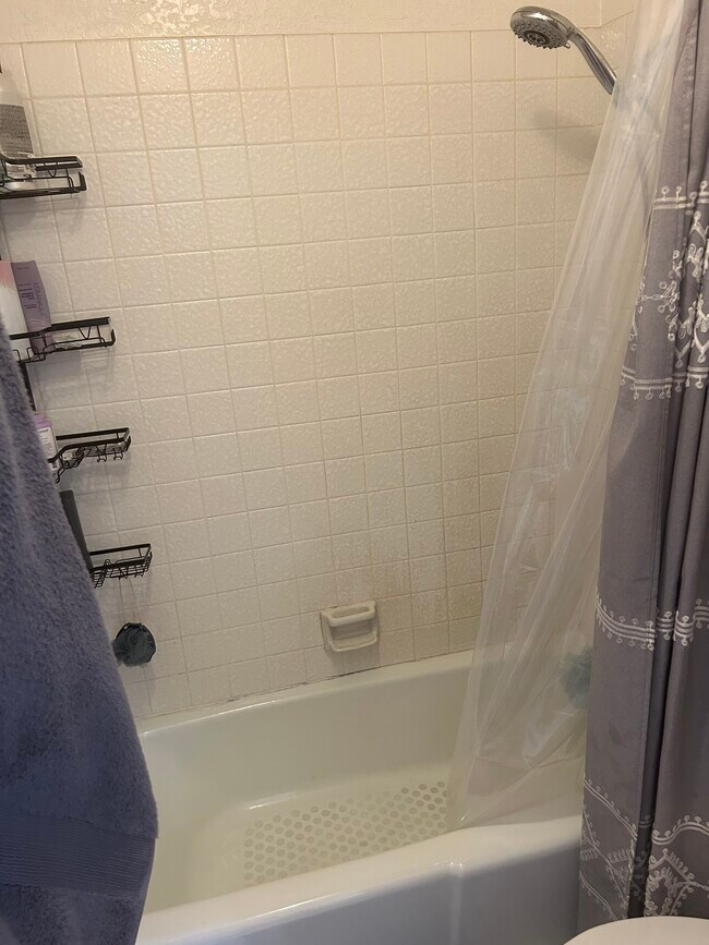 Foto del edificio - 7417 Auburn Oaks Ct