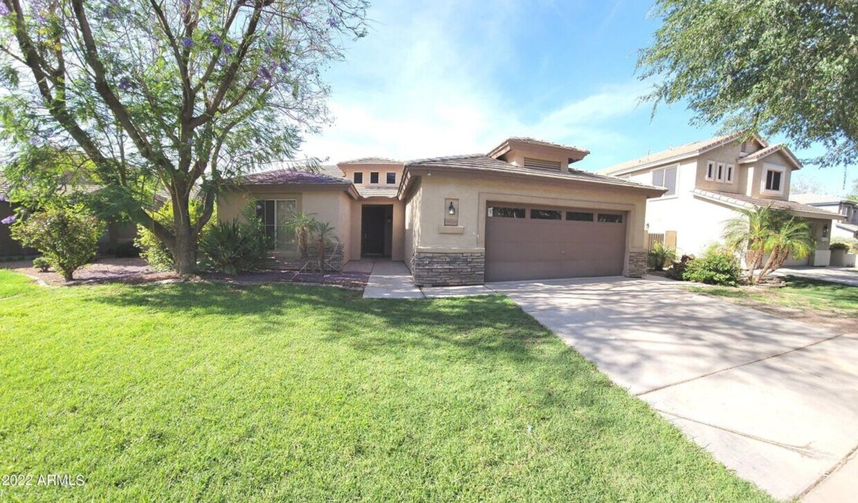 3564 E Lexington Ct, Gilbert, AZ 85234 House Rental in Gilbert, AZ