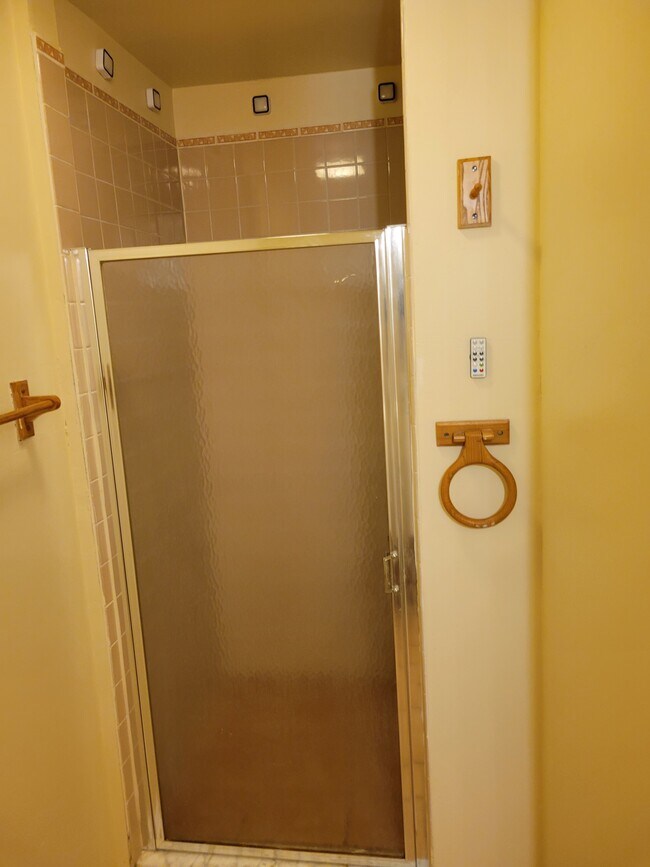 Bathroom Shower - 8020 Quill Point Dr