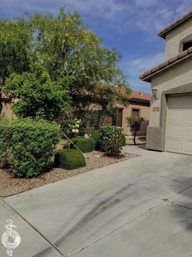 Building Photo - 7563 E Fair Meadows Loop