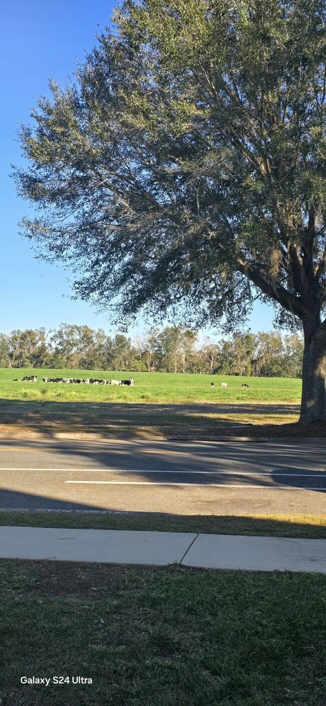 Foto del edificio - 3674 Biltmore Ave