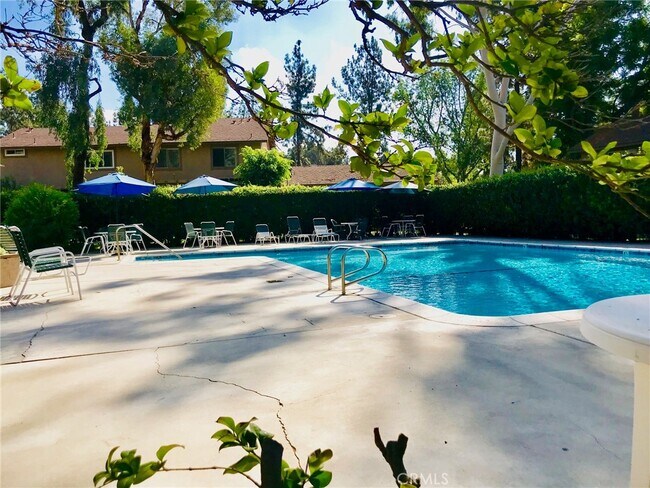 Foto del edificio - 642 N Laurel Valley Dr