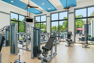 81West finess center - 81 West