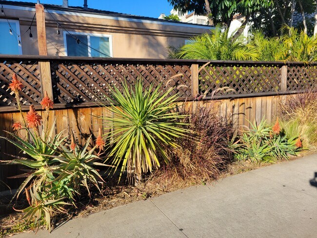 Perimeter fence of the property - 1322 Grand Ave