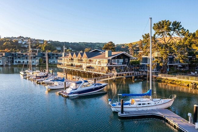Building Photo - The Cove at Tiburon