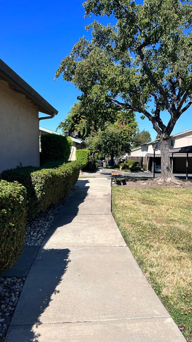 1501 Big Basin Dr, Milpitas, CA 95035 Townhome Rentals in Milpitas CA