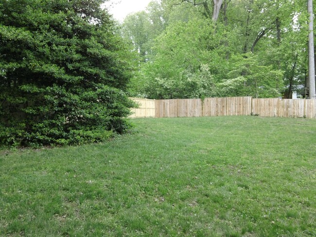 Back Yard - 9204 Dellwood Dr