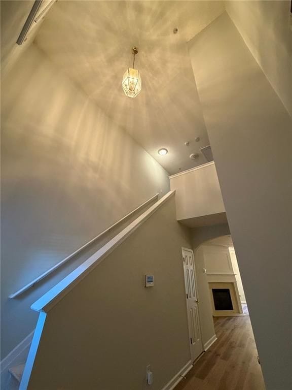 Foto del edificio - 924 Magnolia Leaf Dr