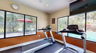 Located at 8000 Waters Ave in Savannah, Georgia, this fitness center offers a well-appointed workout environment designed to support a range of exercise routines. The space is situated on a single floor and is characterized by warm terracotta accent walls complemented by neutral upper walls and a clean white ceiling with recessed lighting.

Large windows line multiple walls of the room, flooding the interior with natural light and providing views of the surrounding lush, tree-lined grounds and the outdoor pool area, complete with patio seating and umbrellas. A wall-mounted flat-screen television is positioned for easy viewing during cardio sessions.

The fitness center is comprehensively equipped for both cardiovascular and strength training. Cardio offerings include multiple Spirit-brand treadmills and an elliptical machine. For strength training, the space features a multi-function cable and weight machine, an adjustable workout bench, a barbell setup, and a full rack of dumbbells in varying weights. Stability balls and additional accessories are also available.

The rubber flooring throughout provides durability and safety underfoot, while a water dispenser and paper towel station ensure convenience for users. The overall ambiance is functional, bright, and inviting, making it a practical and comfortable fitness facility for everyday use.