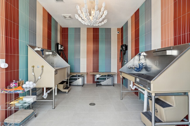 Pet Wash - Paros Vineland