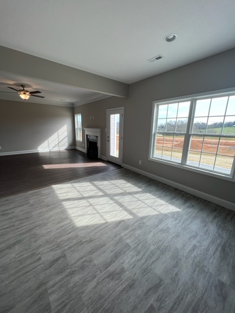 Building Photo - 8145 Equinox Ln