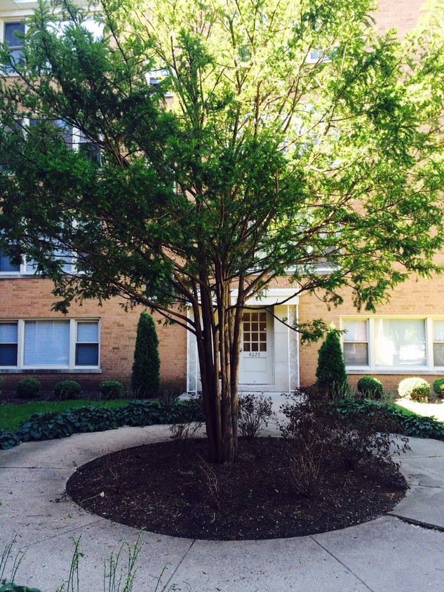 Primary Photo - 4615 Davis St