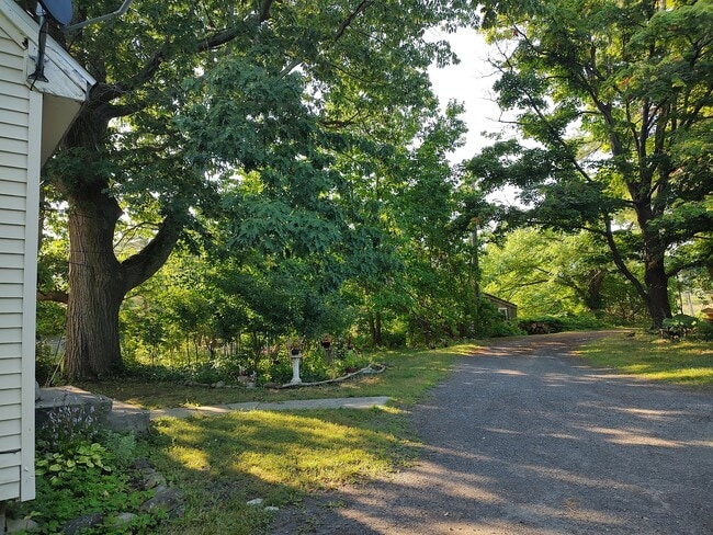 View of road from front step. - 1314 Blakeley Rd
