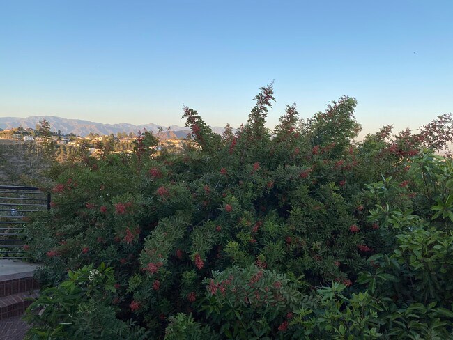Foto del edificio - 2118 Kew Dr