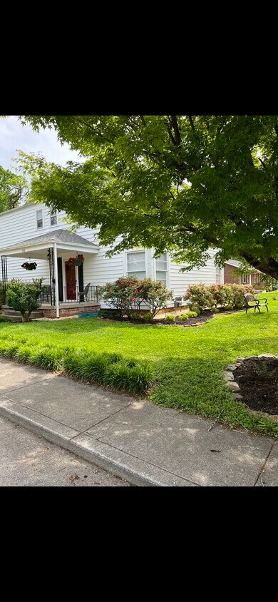 Front yard - 703 Clark St