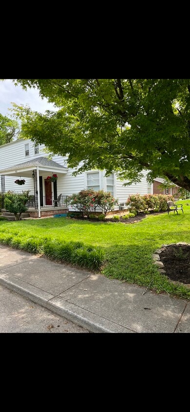 Front yard - 703 Clark St