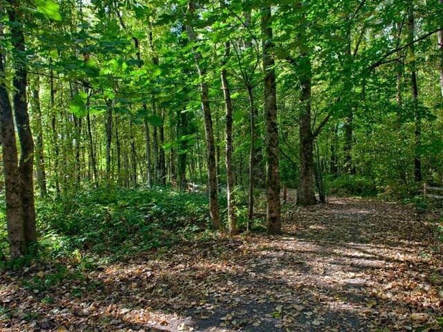Building Photo - Fairview Oaks Woods