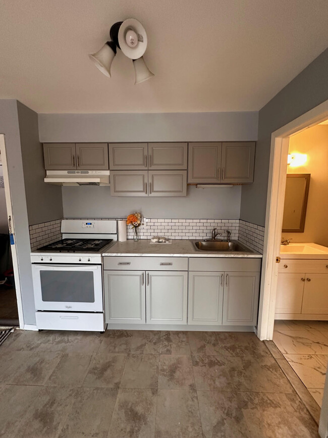 Kitchen area, the cabinets are brand new. - 258 S Main St