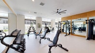 Located at 113 Vermilion Way in Collierville, Tennessee, this generously sized fitness center delivers a comprehensive exercise environment across a single, open floor. The space is defined by its bright, airy aesthetic, with crisp white walls, light-toned flooring, and warm wood accents framing the large wall mirrors that amplify the sense of openness throughout. Oversized ceiling fans are positioned throughout, ensuring airflow and comfort during workouts.

Natural light pours in through multiple large windows with adjustable roller shades, offering views of the surrounding community while maintaining privacy when needed. The cardio zone features a row of treadmills and rowing machines, all equipped with personal display screens, alongside a stationary bike. A dedicated strength training area houses a full rack of dumbbells, multiple adjustable benches, a cable machine, and a multi-functional strength system. Floor-to-ceiling mirrors line sections of the walls, enhancing the spaciousness and allowing users to monitor their form.

A wall-mounted flat-screen television is integrated into a warm wood panel accent wall, adding an entertainment element to the space. Recessed lighting complements the natural light, ensuring the facility remains well-lit at all hours. The layout is thoughtfully organized to provide distinct zones for cardio, free weights, and machine-based training, making this fitness center a well-equipped and visually refined destination for exercise.