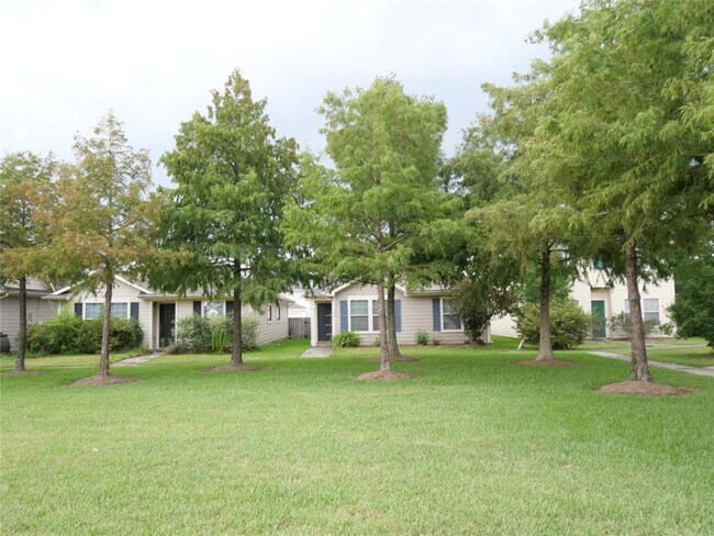 Building Photo - 1509 Palcio Real Dr