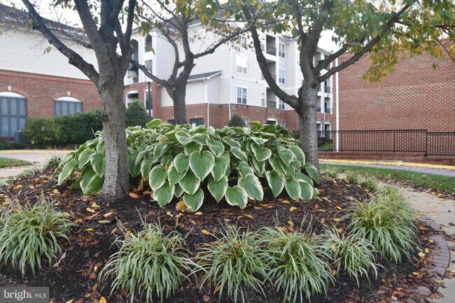 Building Photo - 4852 Eisenhower Ave