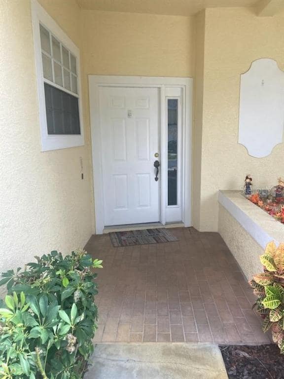 3443 Fox Hunt Dr, Palm Harbor, FL 34683 Townhome Rentals in Palm