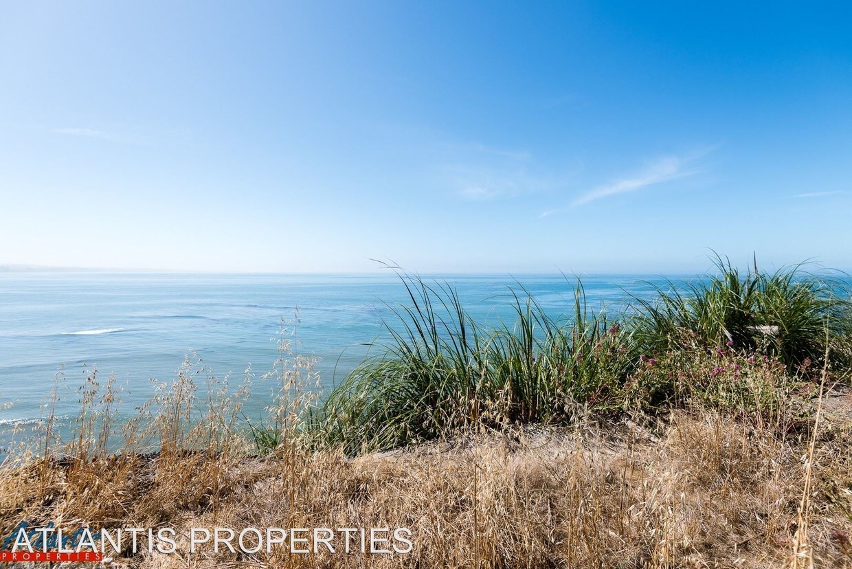 217 Oakland Ave, Capitola, CA 95010 Condo for Rent in Capitola, CA