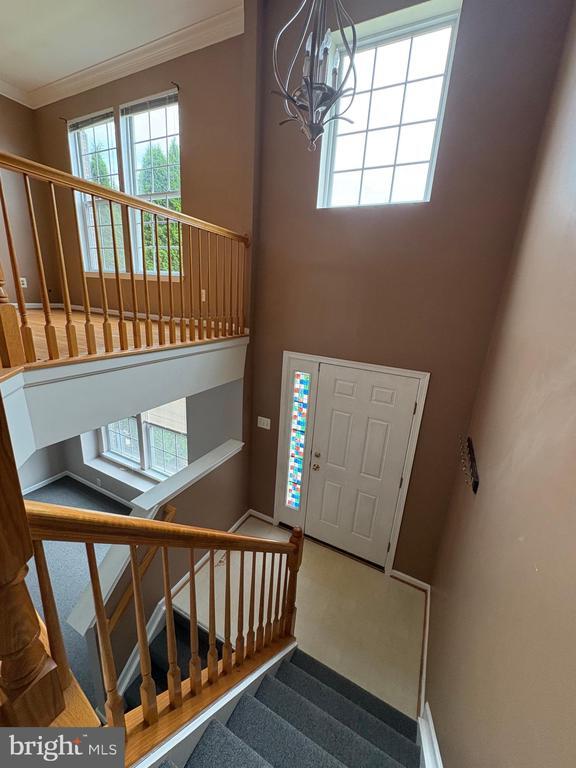 Building Photo - 4719 Witchhazel Way