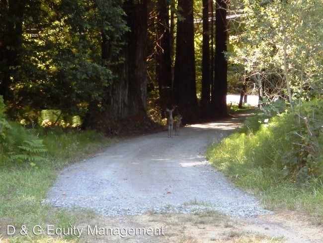 Foto del edificio - 3 br, 2 bath House - 3060 Cazadero Hwy