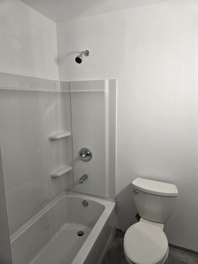 Bathroom - 17 Myrtle St