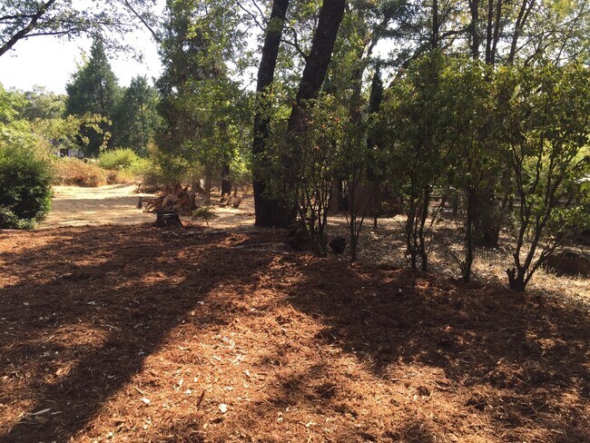 Foto del edificio - Country living