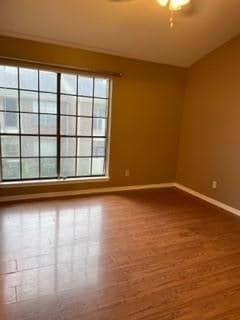 Building Photo - 2121 El Paseo St