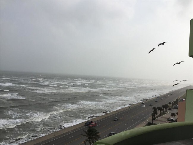 Foto del edificio - 9420 Seawall Blvd