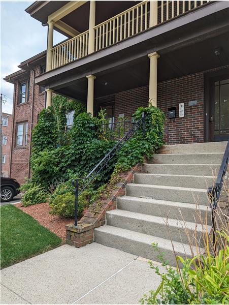Foto del edificio - 240 Waverley Ave