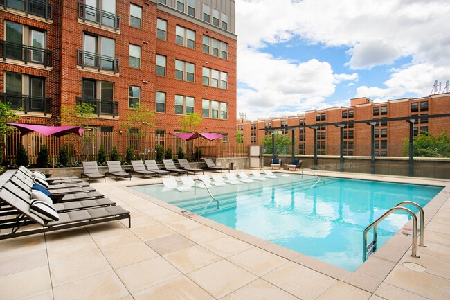 Pool Deck - The Alloy Apartments