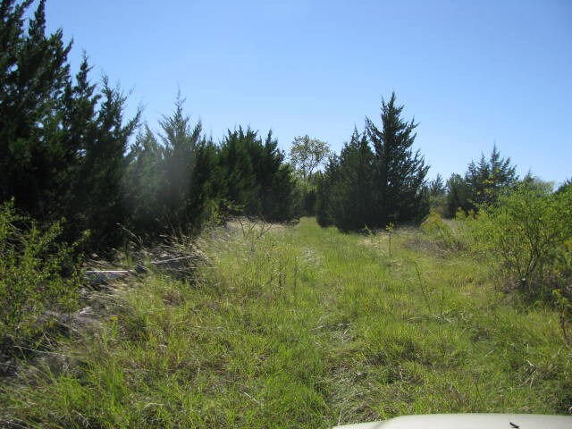 ONE OF THREE CULDESAC AREAS - 928 Crista Cv