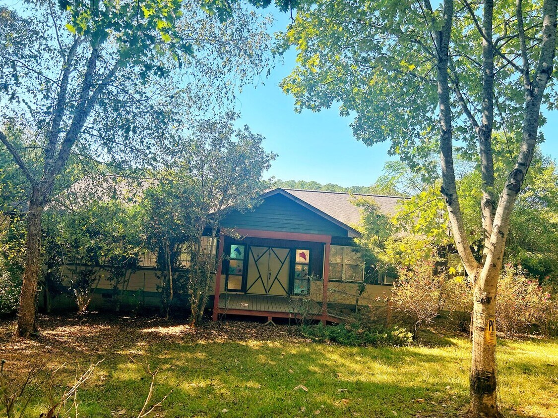 Primary Photo - One Bedroom Studio