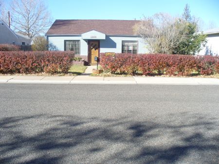 Primary Photo - 1264 N 10th St