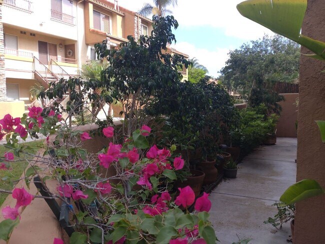 Foto del edificio - 15363 Maturin Dr