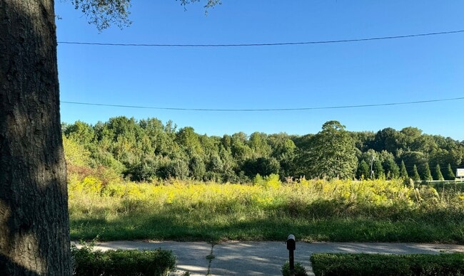 Building Photo - Complete New Central Hvac in this 2 Bed/1 Bath Historic Home!