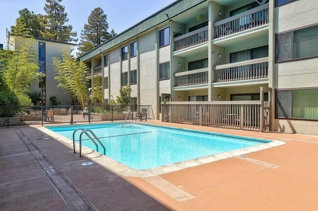 Pool is now open for the summer - 316 N El Camino Real