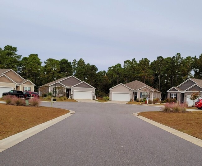 Building Photo - Desireable 4 Bedroom home in The Farm