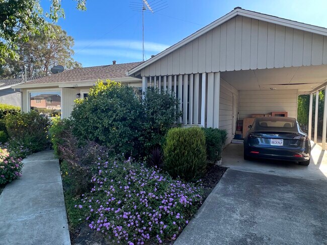 Building Photo - 1169 Shamrock Dr
