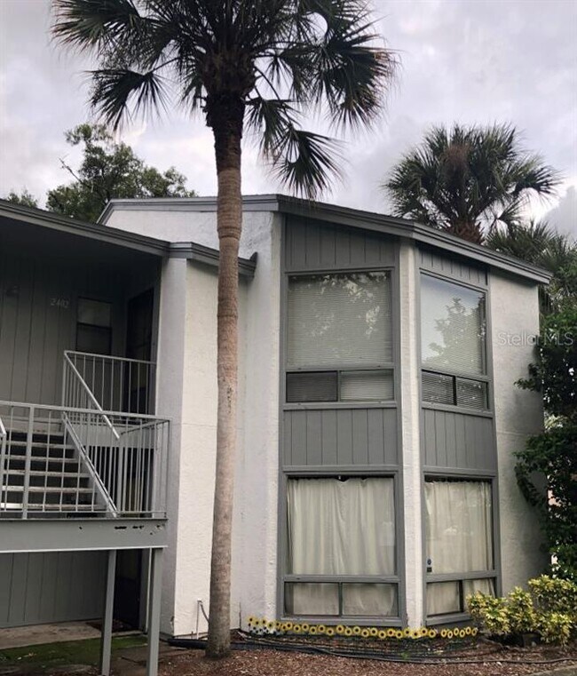 Foto del edificio - 2402 Lemon Tree Ln